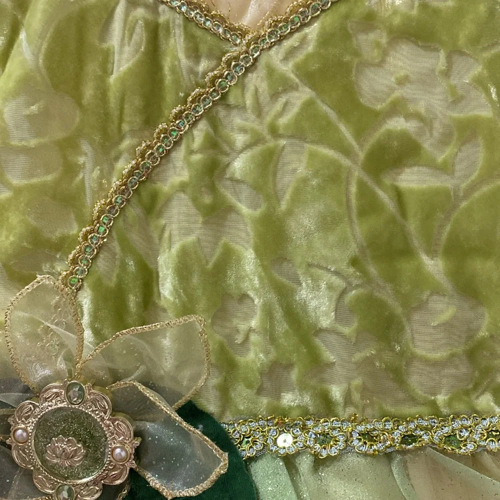 Disney Princess Tiana Costume Dress Up Gown Princess And The Frog Size 5/6